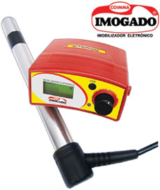 V - Imogado 