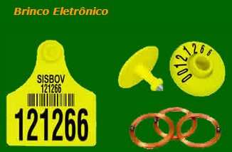 Brinco Eletrônico  