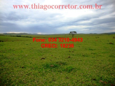 Fazenda para arrendar, lavoura 