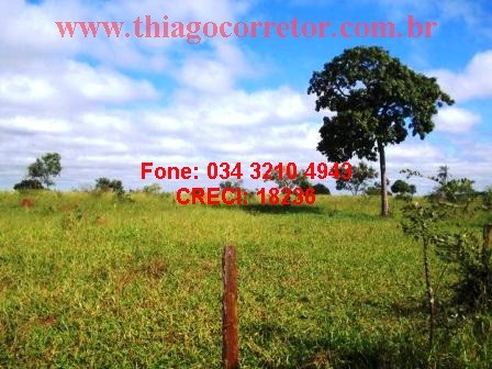 Fazenda perto da Usina, Ituiutaba 