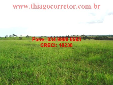 Vendo, permuto, dou prazo, Campina Verde 