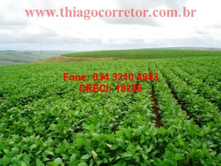 Fazenda de lavoura, c/ soja, Araxá 