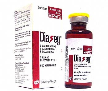 Diaseg 30 ml 