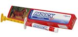 Padock Gel Seringas 6 g