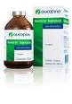 Gentrin Injetável Frasco 10 ml