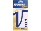 Ranger LA 