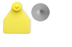 Brinco de Identificação Fêmea Suíno Ovino 