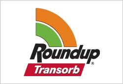 Roundup Transorb Embalagem 5 litros