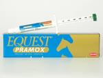 Equest Pramox Seringa 11,8 g