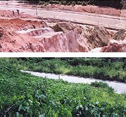 Recomposição de Áreas Degradadas - PRADE 