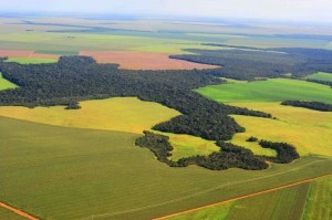 Desmembramento e Remembramento Imóveis rurais