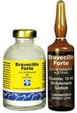 Bravecilin Forte Frasco 15 ml