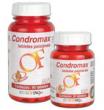 Condromax Frasco 500 g