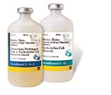Scour Guard 4 KC Frasco 10 doses