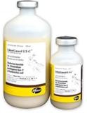 LitterGuard LT-C Frasco 20 ml