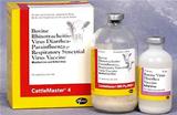 CattleMaster 4 Frasco 25 doses