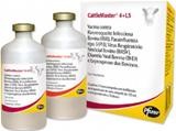 CattleMaster 4+L5 Frasco 25 doses