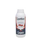 Ciperthion 