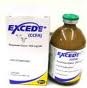 Excede 200mg Frasco 100 ml