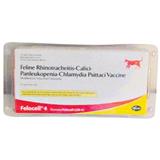 Felocell CVR-C Frasco de 1 ml