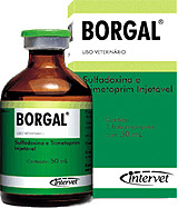 Borgal Frasco 5 ml