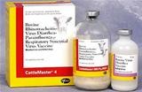 CattleMaster 4 Frasco 10 doses