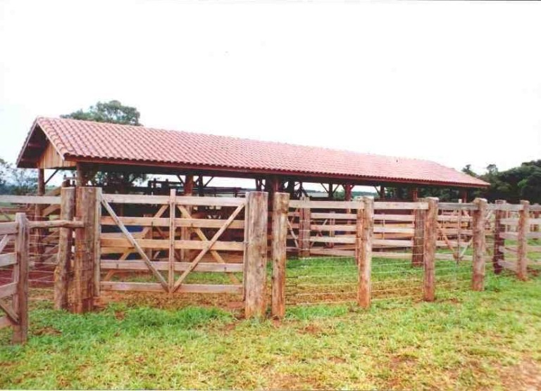 Curral Convencional 