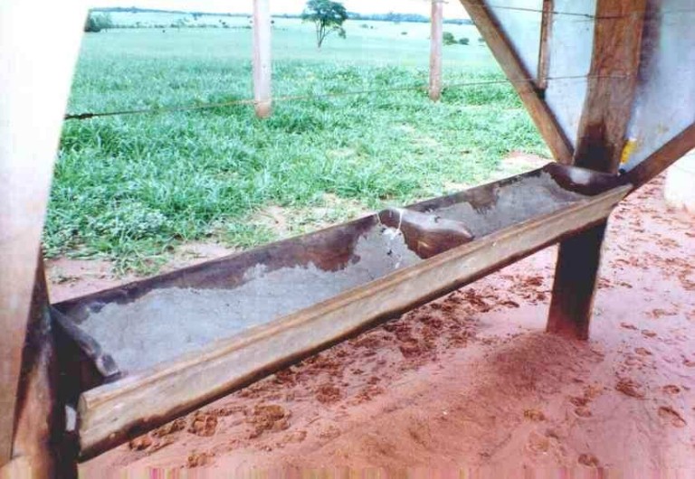 Saleiros Cobertos 