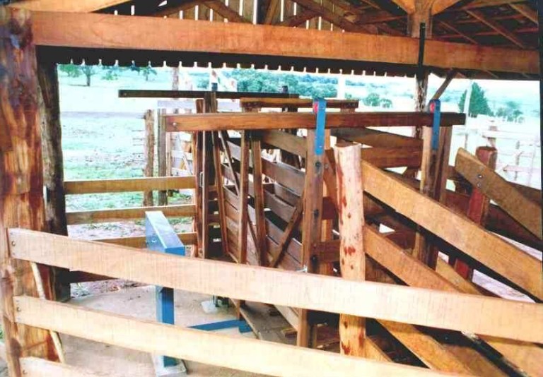 Balança Eletrônica 