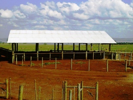Curral para Ovinos 