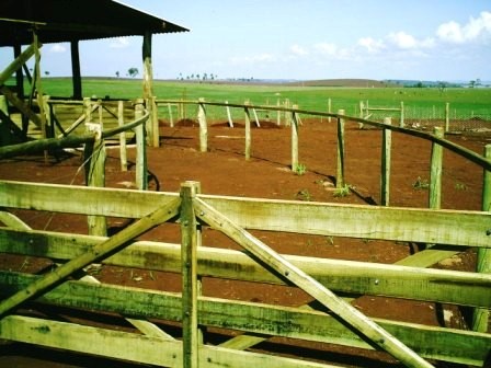 Portão Curral 