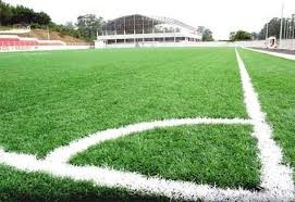 SEMENTE DE GRAMA PARA CAMPO DE FUTEBOL  KG