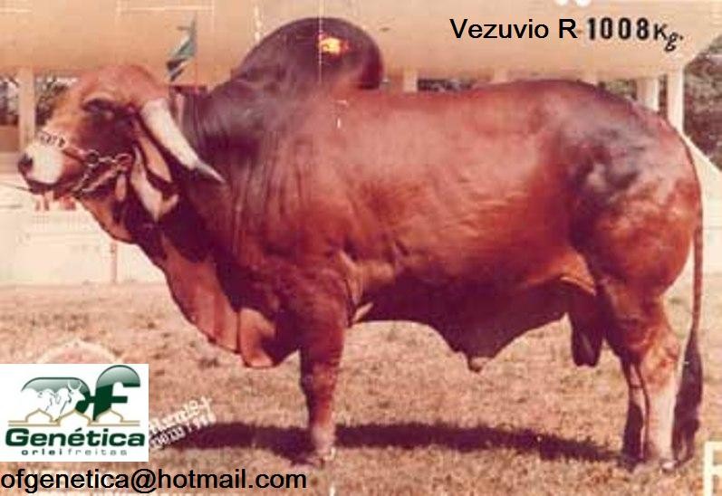 Vezuvio R 