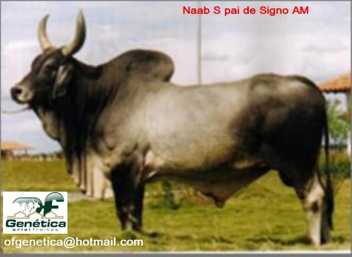 Naab S Doses