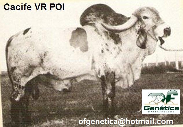 Casifi VR POI 