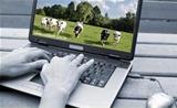 Cursos Agrários à Distância 