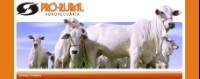 PRÓ-RURAL PRODUTOS AGROPECUÁRIOS LTDA