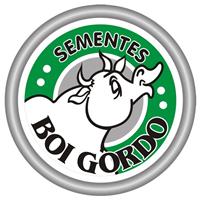 SEMENTES BOI GORDO