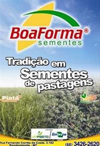 BOA FORMA SEMENTES