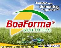 BOA FORMA SEMENTES