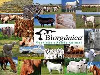 Biorgânica Nutrição e Saúde Animal