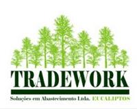 TRADEWORK EUCALIPTOS SOLUÇÕES EM ABASTECIMENTO LTD