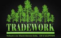 TRADEWORK EUCALIPTOS SOLUÇÕES EM ABASTECIMENTO LTD