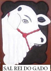 Representante Sal Boi Gordo