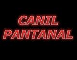 CANIL PANTANAL