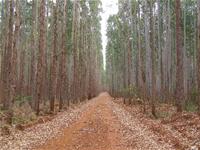 POÇOS ARTESIANOS E SEMI ARTESIANOS