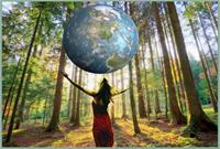 TRADEWORK EUCALIPTOS